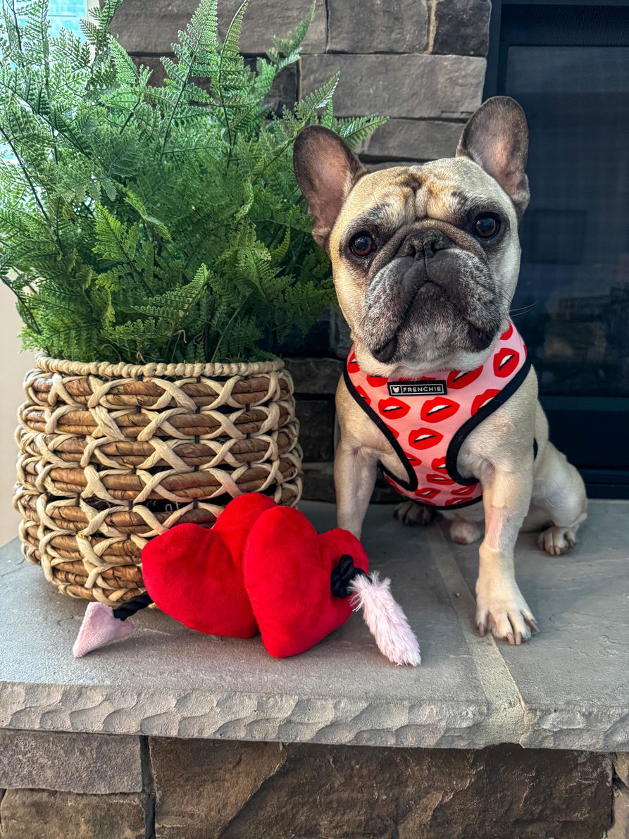 Puppy Love Dog Toy: Fur-ever Hearts by Play Pet Brands
