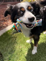Free Small Rope Toy