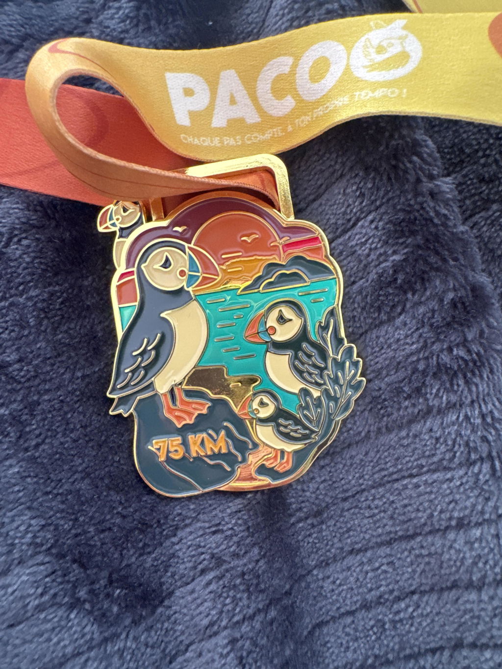 Pacoo Challenges