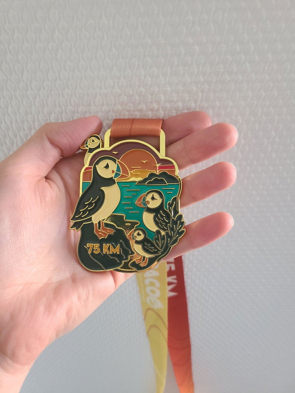 Pacoo Challenges