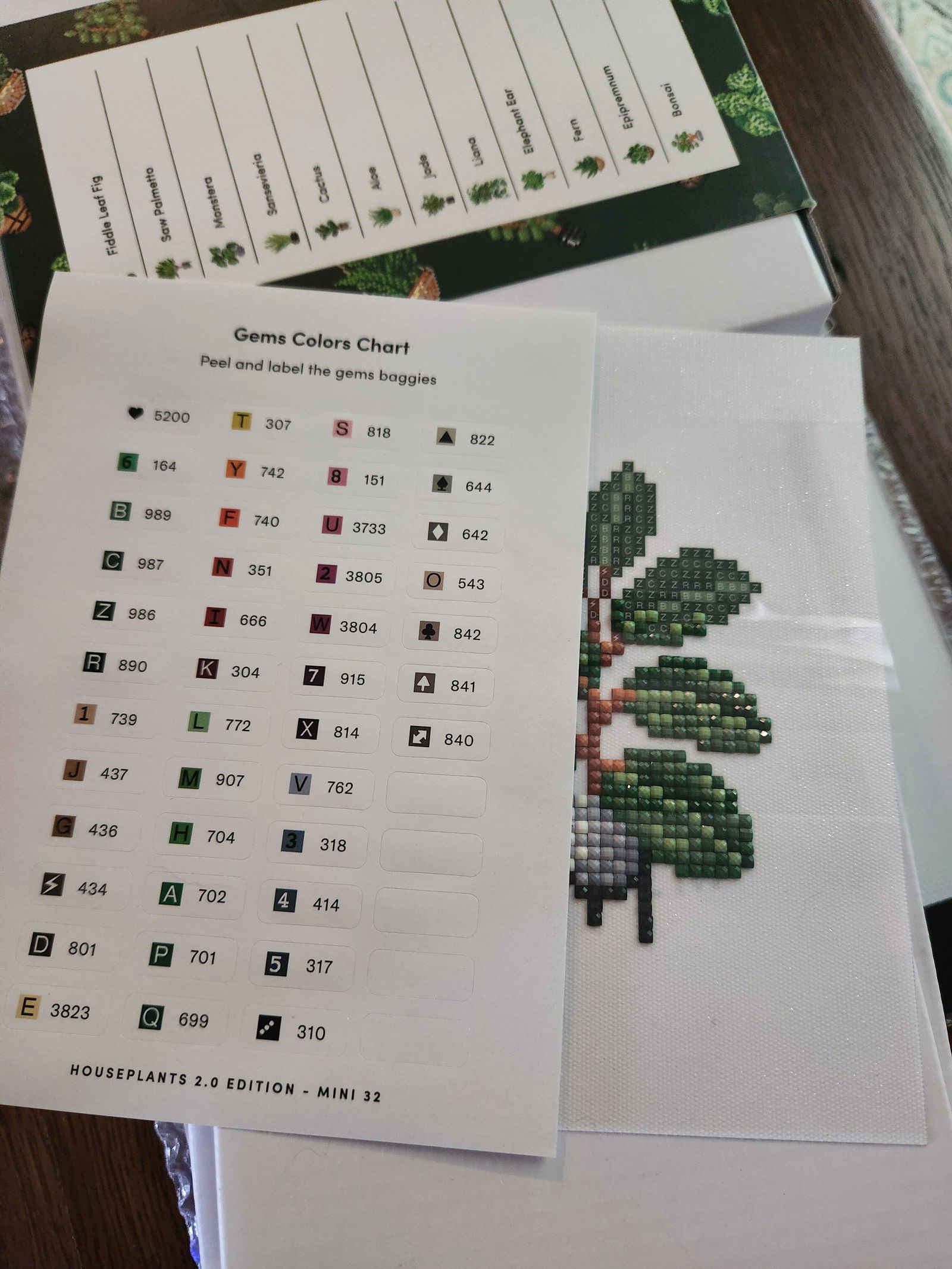 Houseplants Edition 2