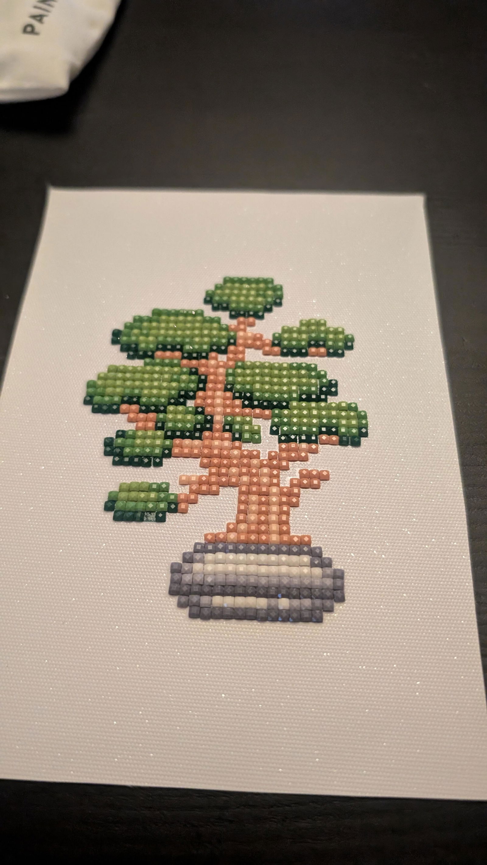 Houseplants Edition