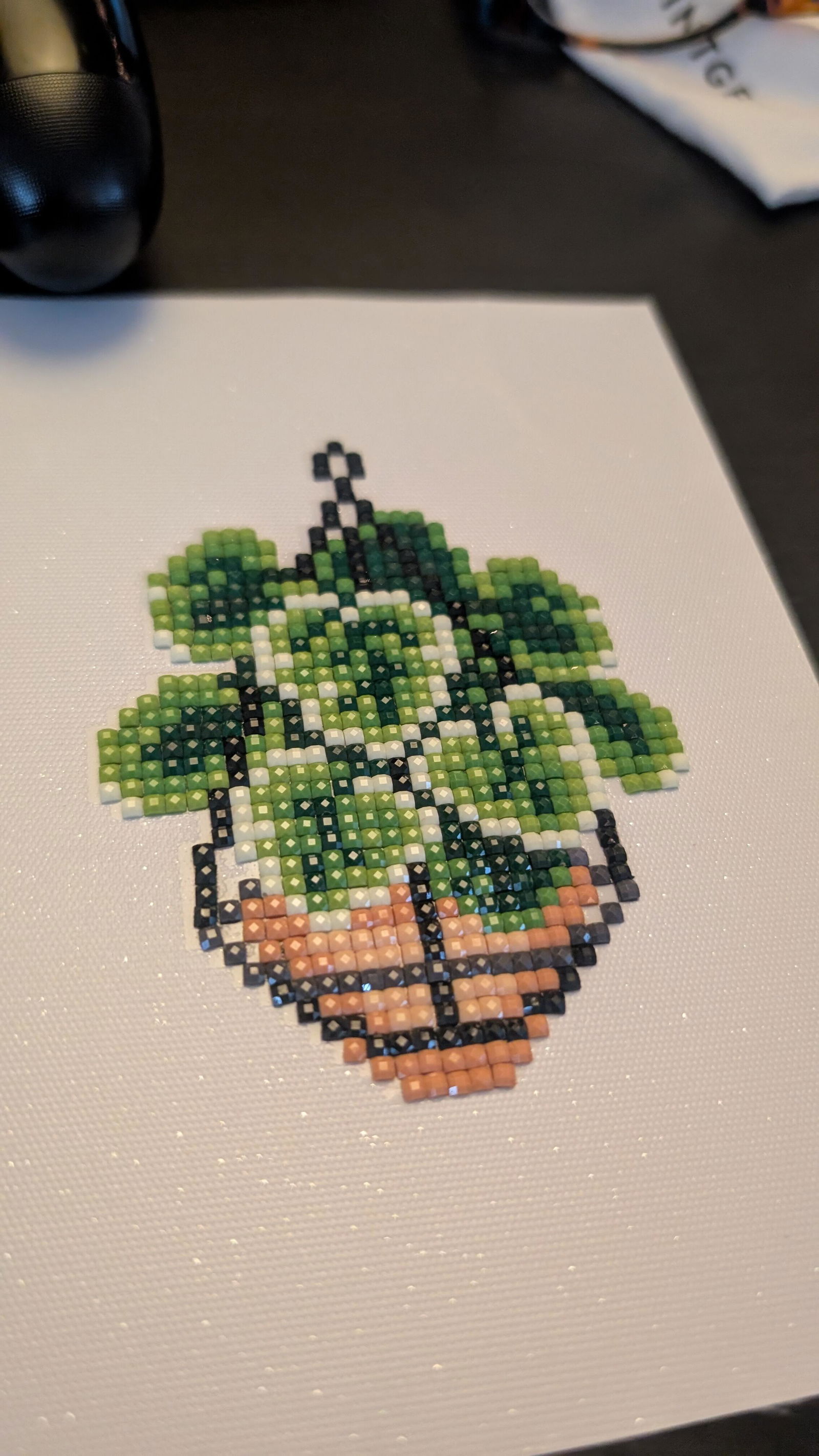 Houseplants Edition