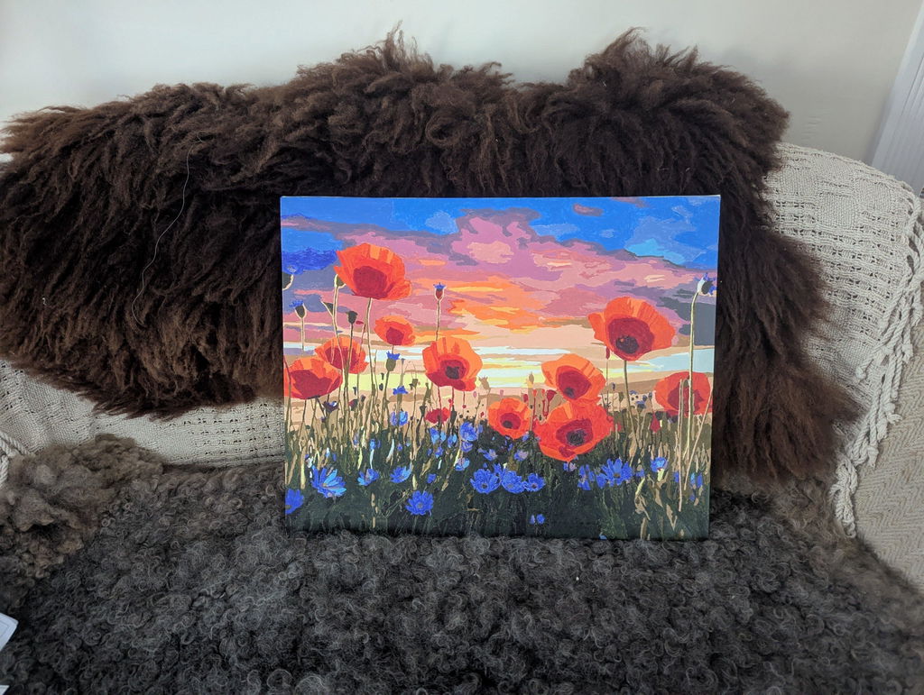 Poppies at Sunset