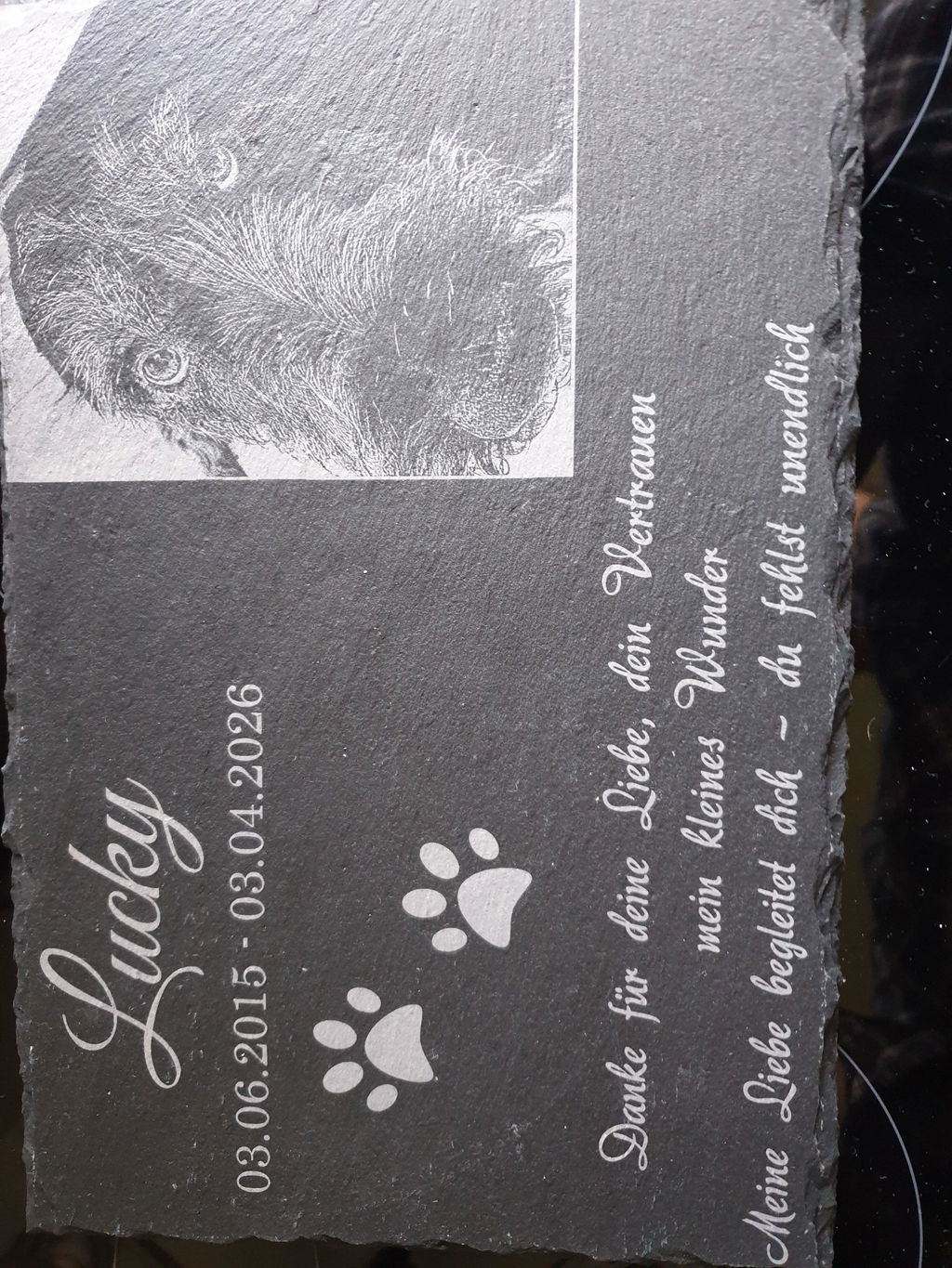 Personalisierter Schiefer Tiergrabstein 30x20cm - Foto Lasergravur