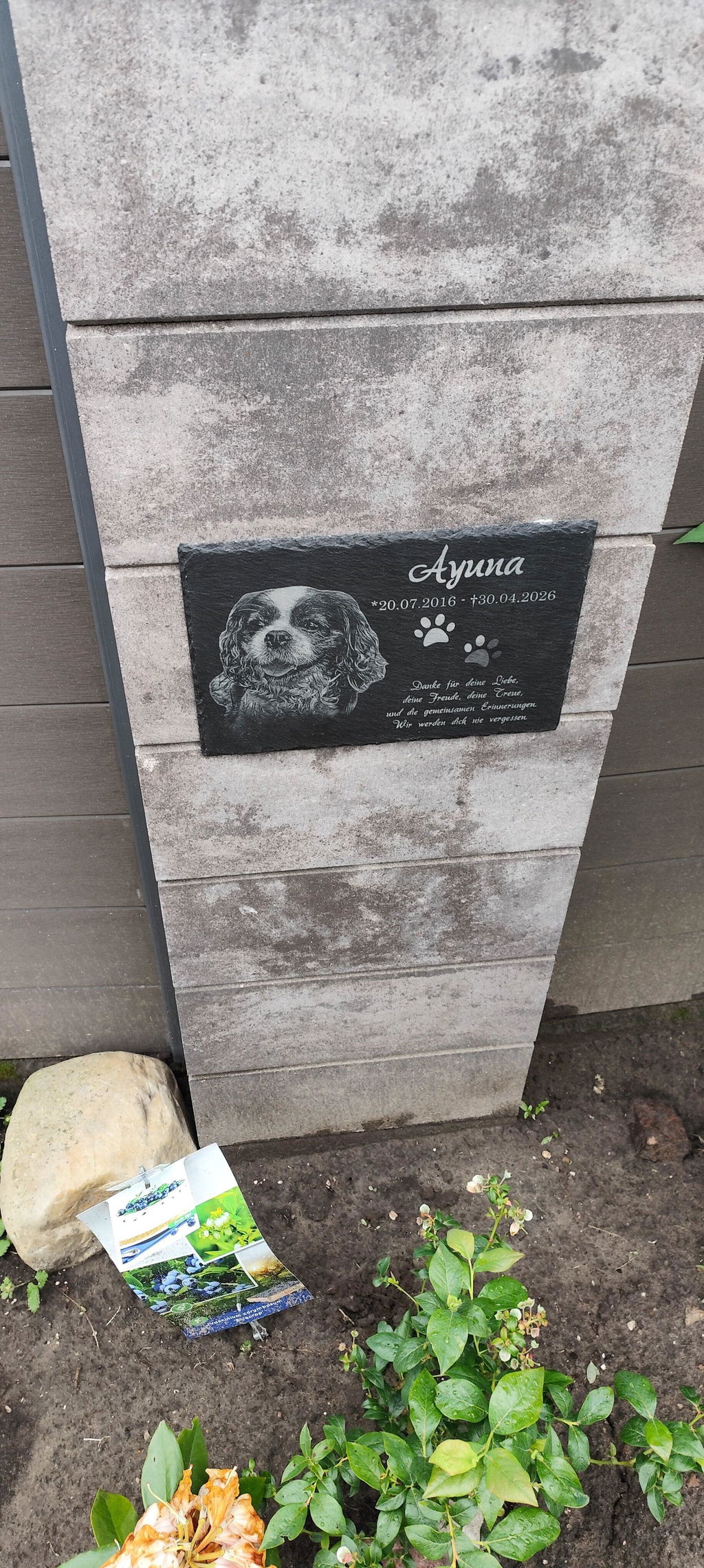 Personalisierter Schiefer Tiergrabstein 30x20cm - Foto Lasergravur