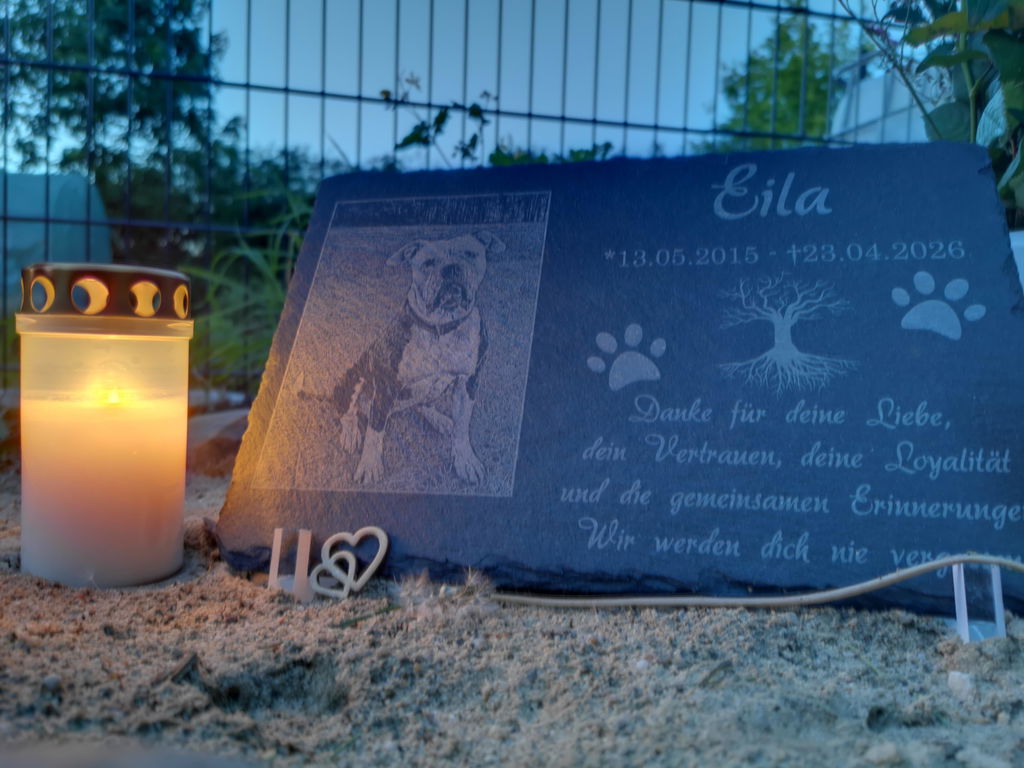 Personalisierter Schiefer Tiergrabstein 30x20cm - Foto Lasergravur