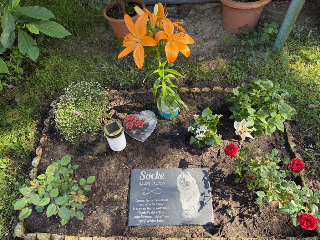 Personalisierter Schiefer Tiergrabstein 30x20cm - Foto Lasergravur