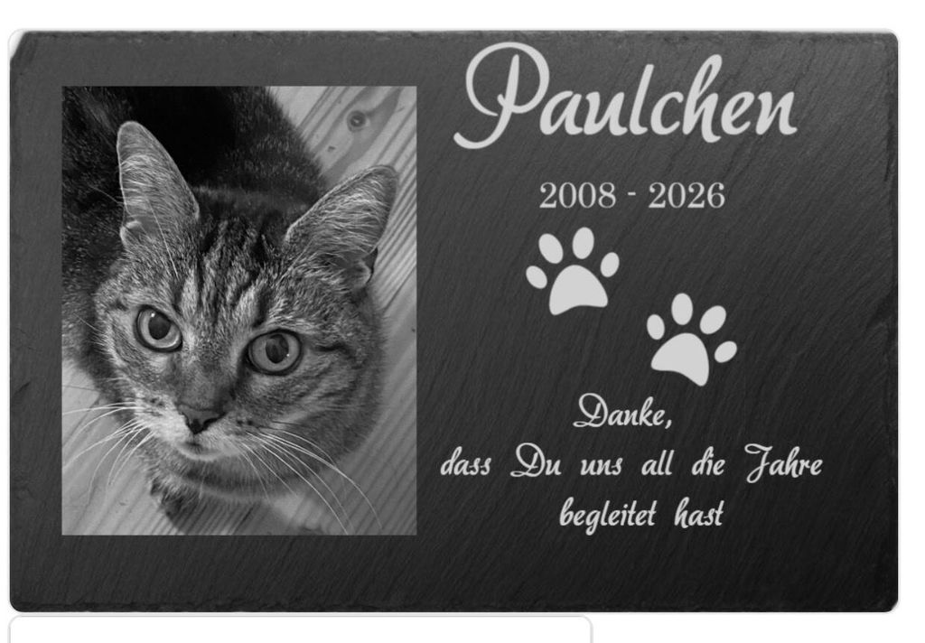 Personalisierter Schiefer Tiergrabstein 30x20cm - Foto Lasergravur