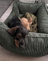 Hundebett ANTON Cord Olive