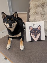 User picture