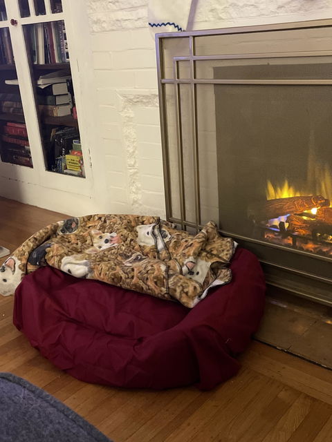 PawSheets® Dog Bed Covers