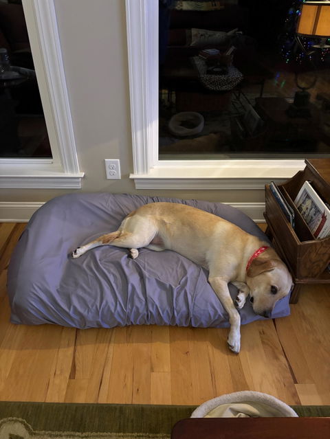 PawSheets® Dog Bed Covers