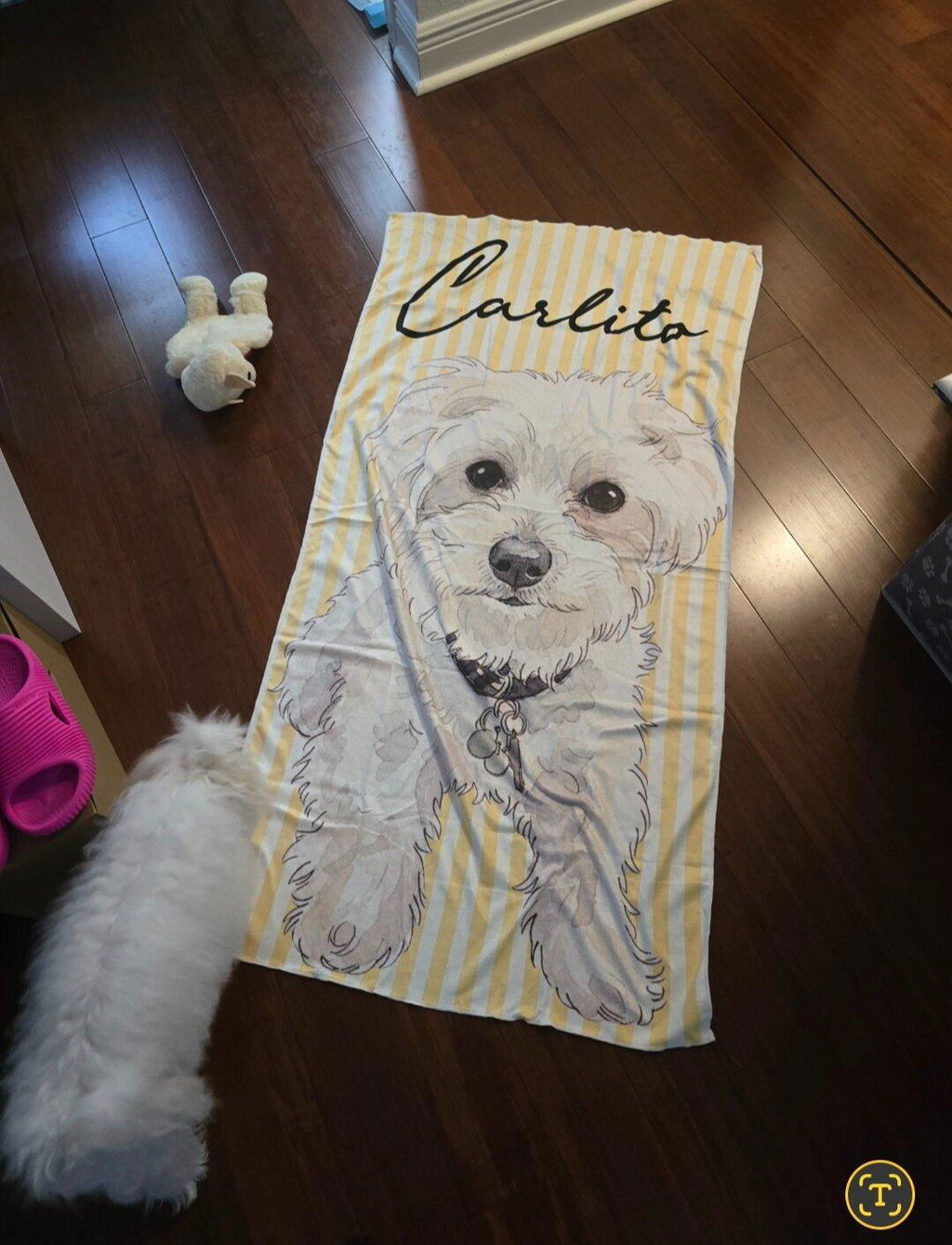 Beachside Barkers - Personalized Custom Beach Towel