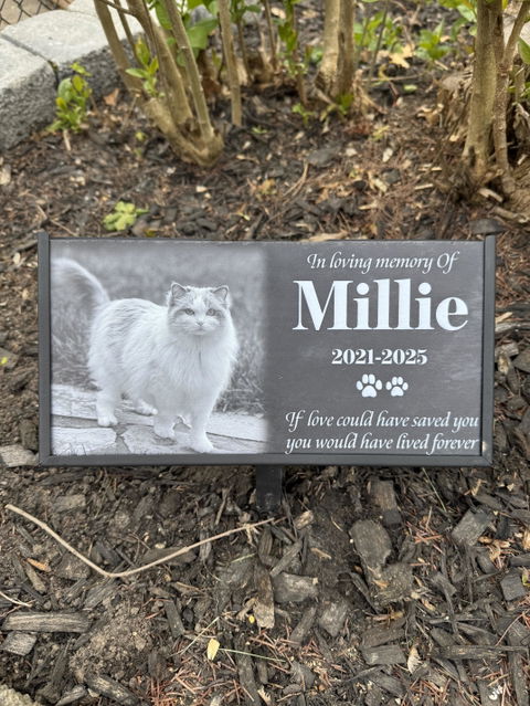 If Love Could Have Saved You - Personalized Granite Headstone With Stand , Memorial Gift, Sympathy Gift For Loss Of Pet