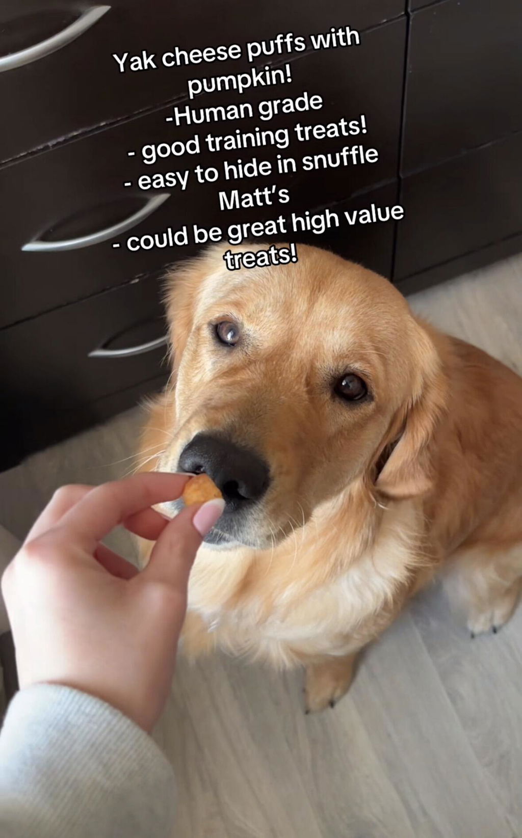 Yak Cheese Puffs for Dogs – Pumpkin