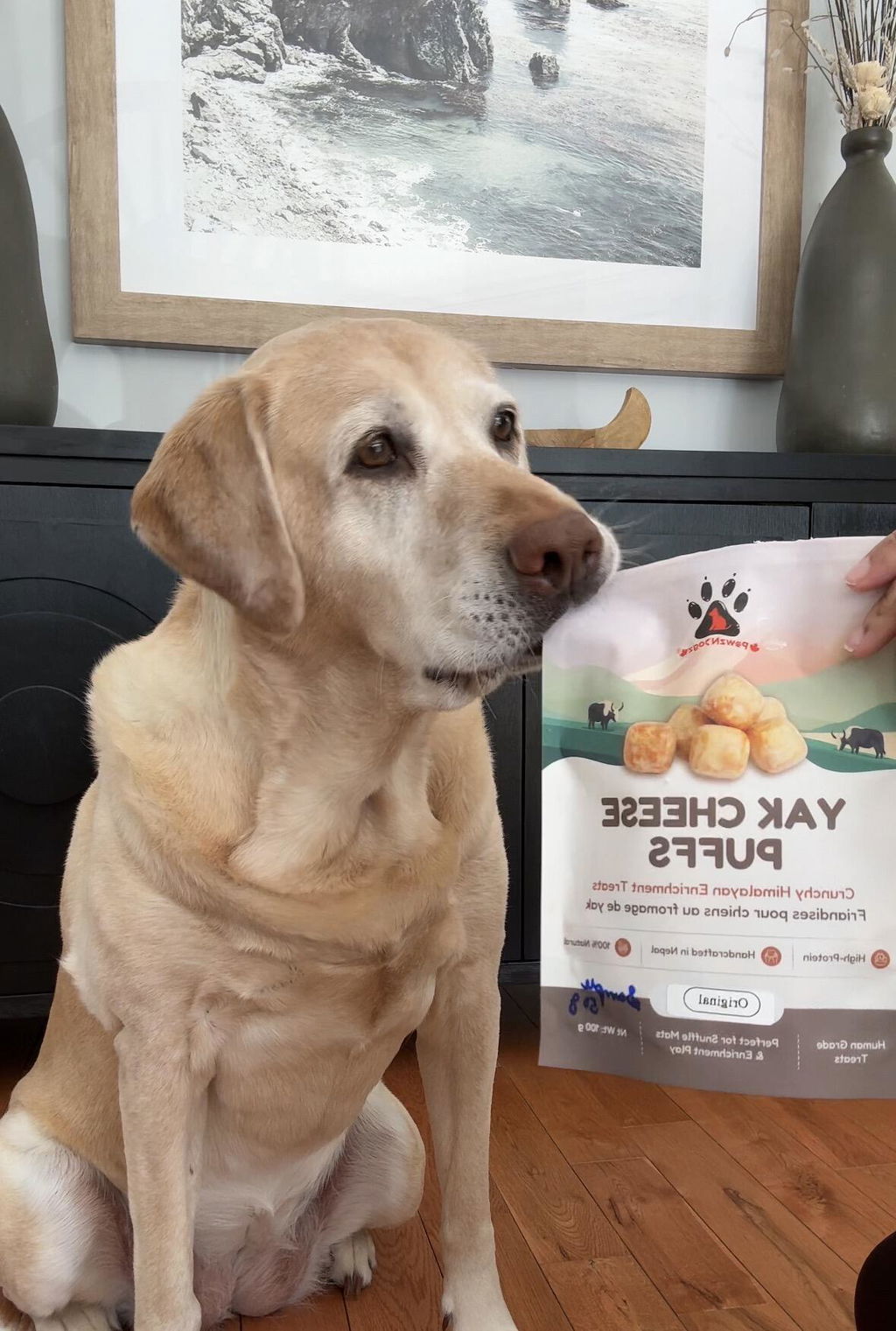 Yak Cheese Puffs for Dogs – Original