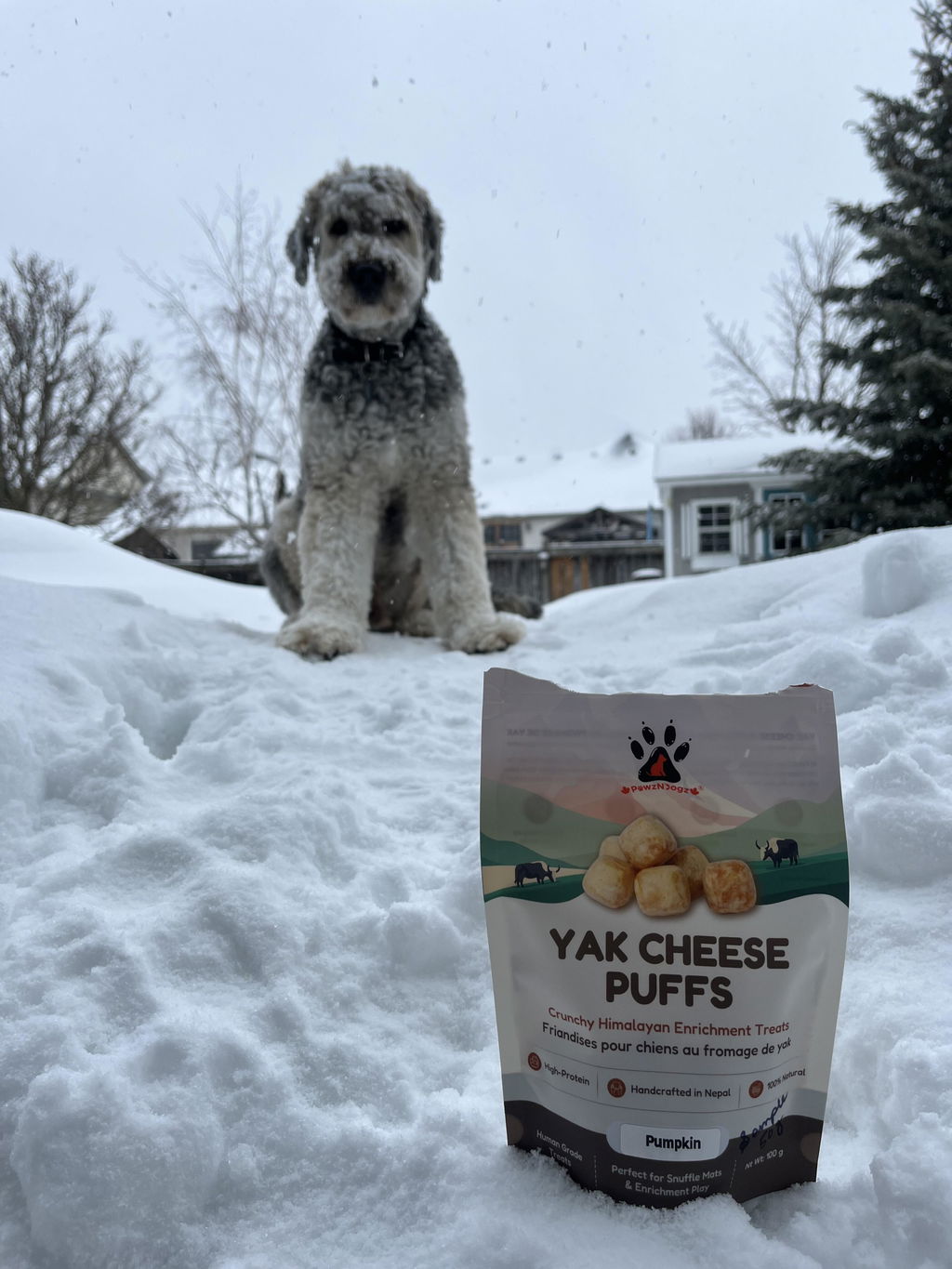 Yak Cheese Puffs for Dogs – Pumpkin
