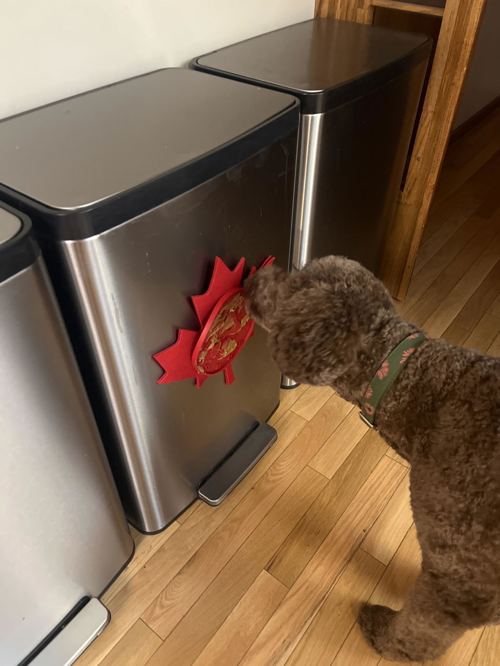 Boundless Love™ AntiBite DIY Snuffle Mat