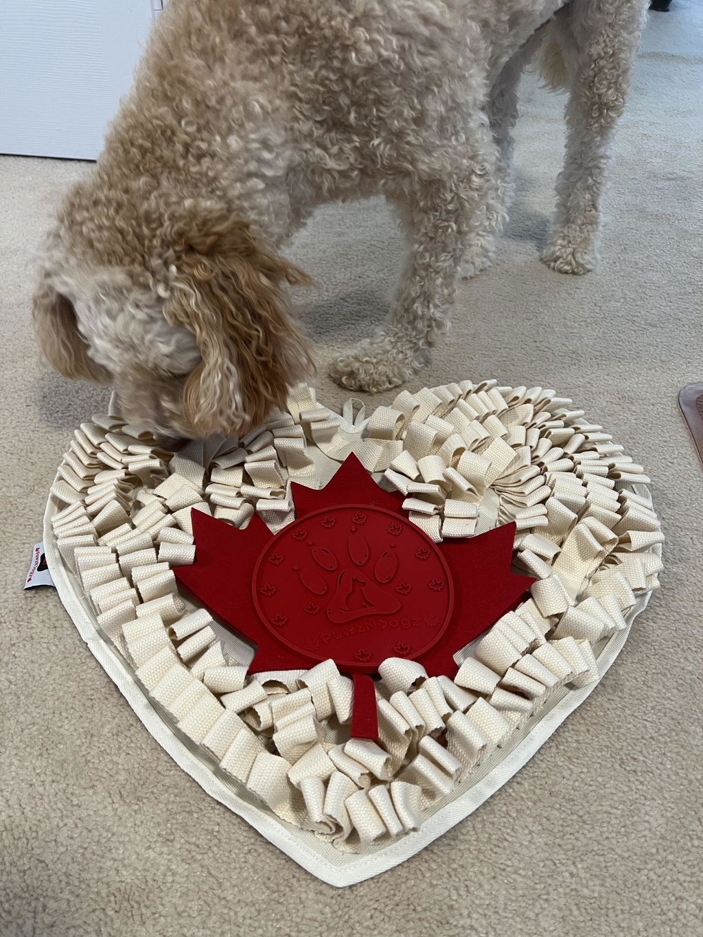 Boundless Love™ AntiBite DIY Snuffle Mat