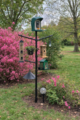 PerchMe Smart AI Bird Feeder & Pole Bundle - Solar-Powered 2K AI Camera + Heavy-Duty Adjustable Squirrel-Proof Bird Feeder Pole