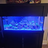 Custom Reef Trace Solution