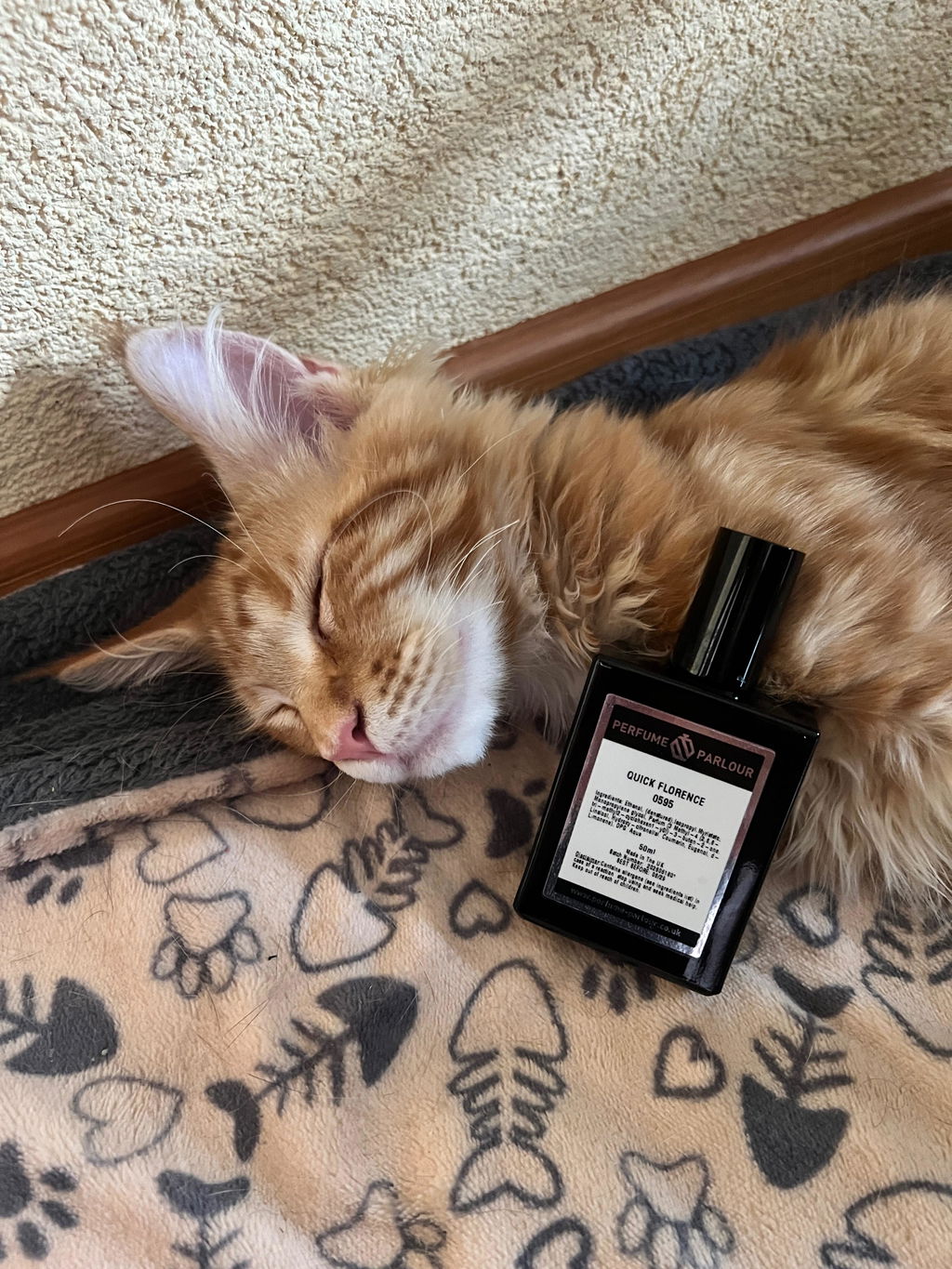 Quick Florence For Men - 0595