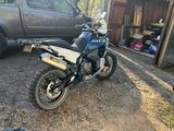 User picture