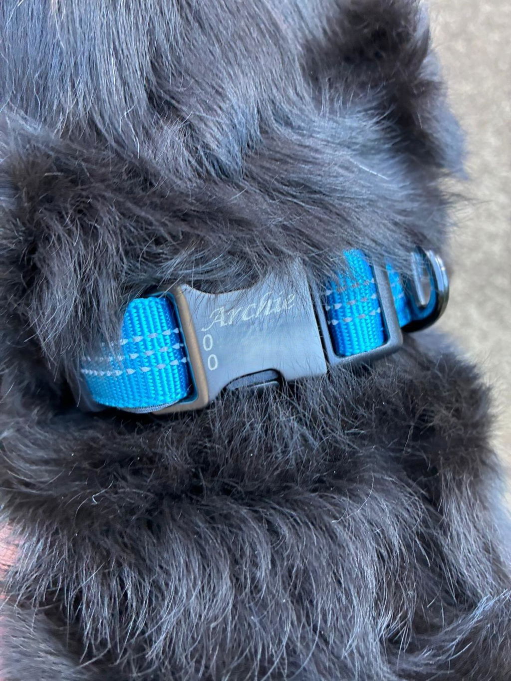 Pet ID Tags