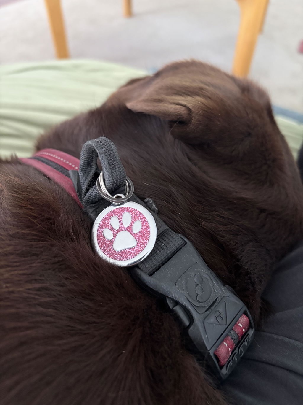 Paw Pet Tag - Glitter Pink