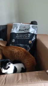 Nourvet Natural Cat Food