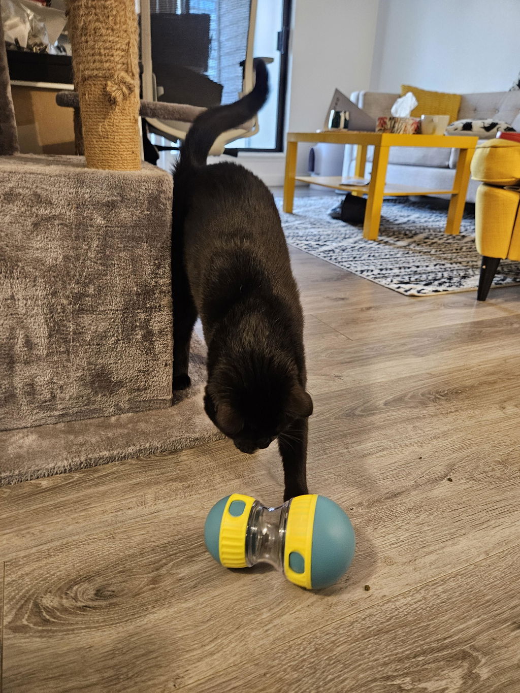 Dog Oval Slow Feeder Toy