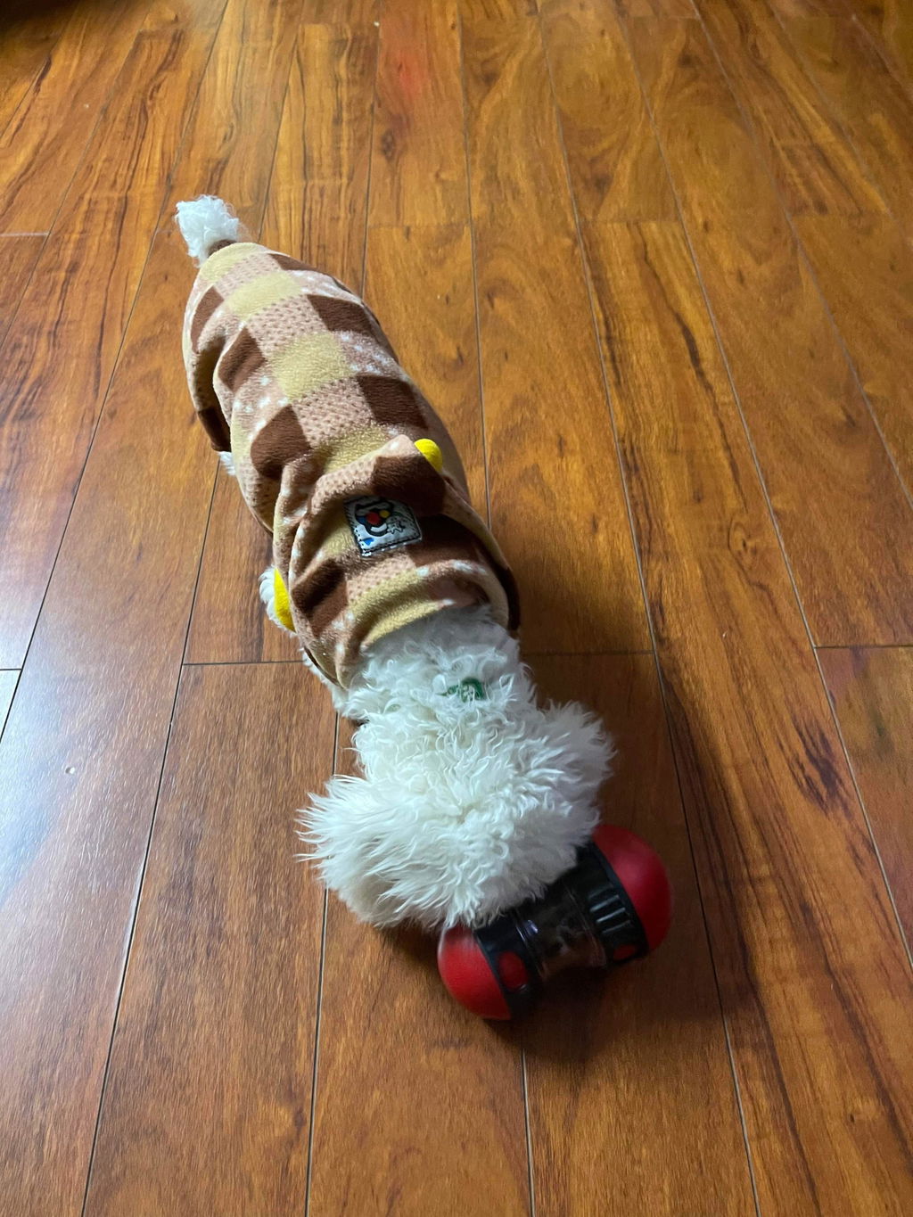 Dog Oval Slow Feeder Toy