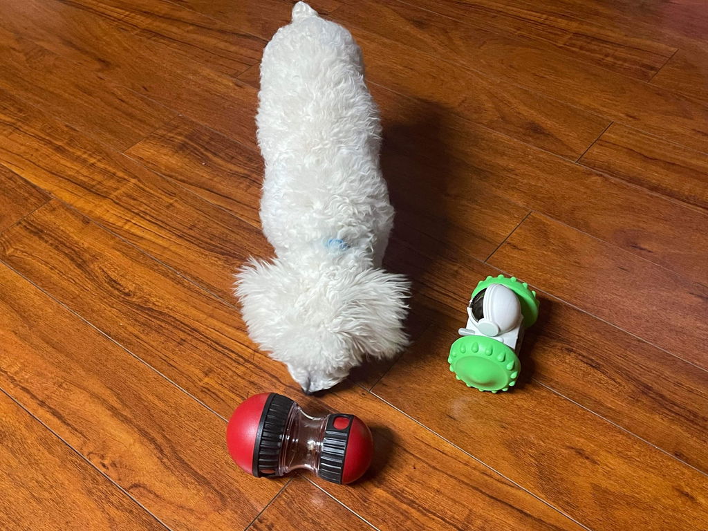 Pet Robot Slow Feeder Toy