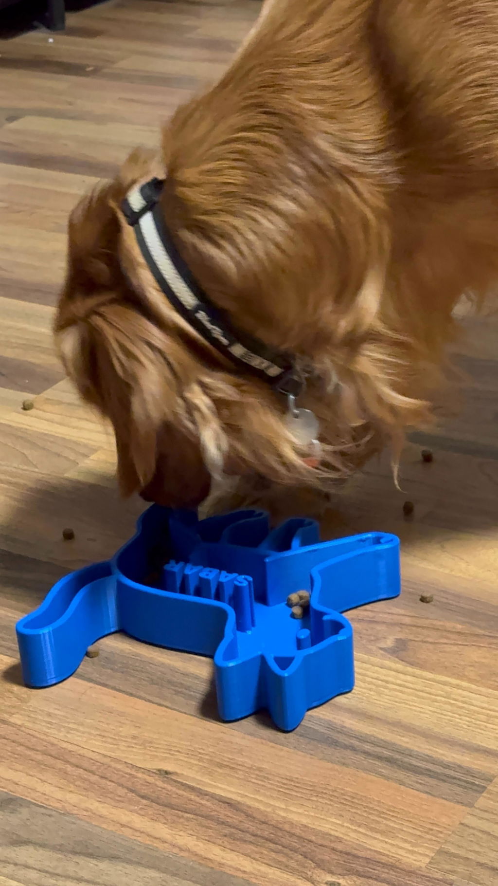 Personalized Pet Puzzle Feeder Bowl | Cat Shaped