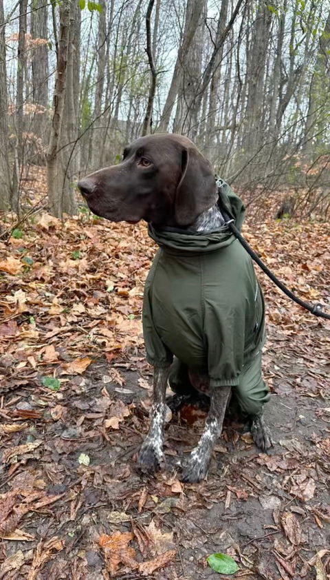 Lightweight Dog Windbreaker for Outdoor Adventures-Dark Olive[USA]