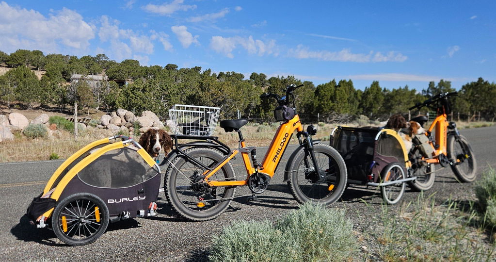 PHILODO FALCON 60V Dual Motor Electric Bike Full Suspension