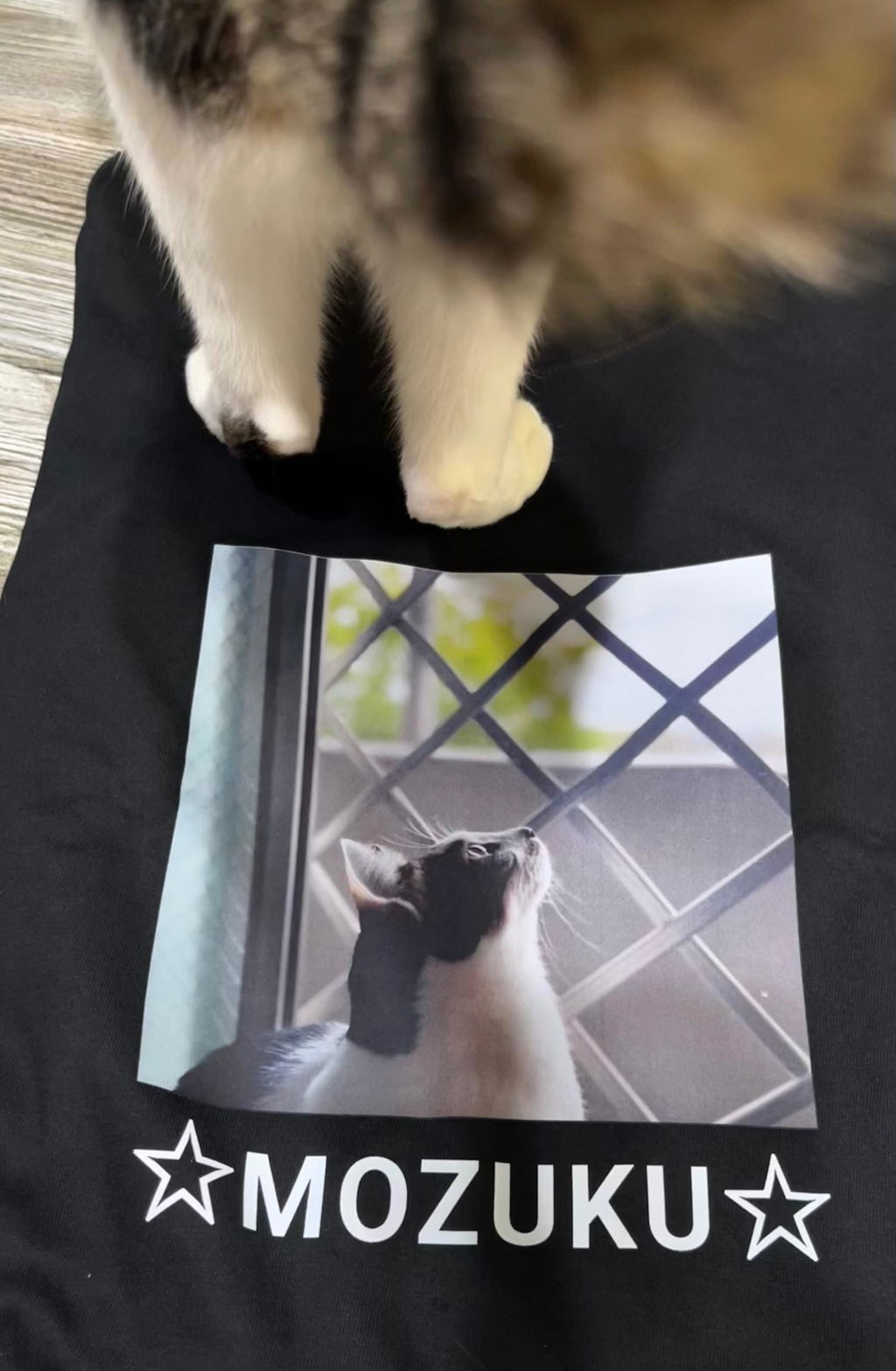 【受注生産：6/8(月)22:00〜11(木)】うちのこプリントTシャツ  /  ブラック