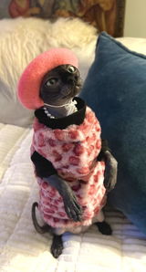 User picture