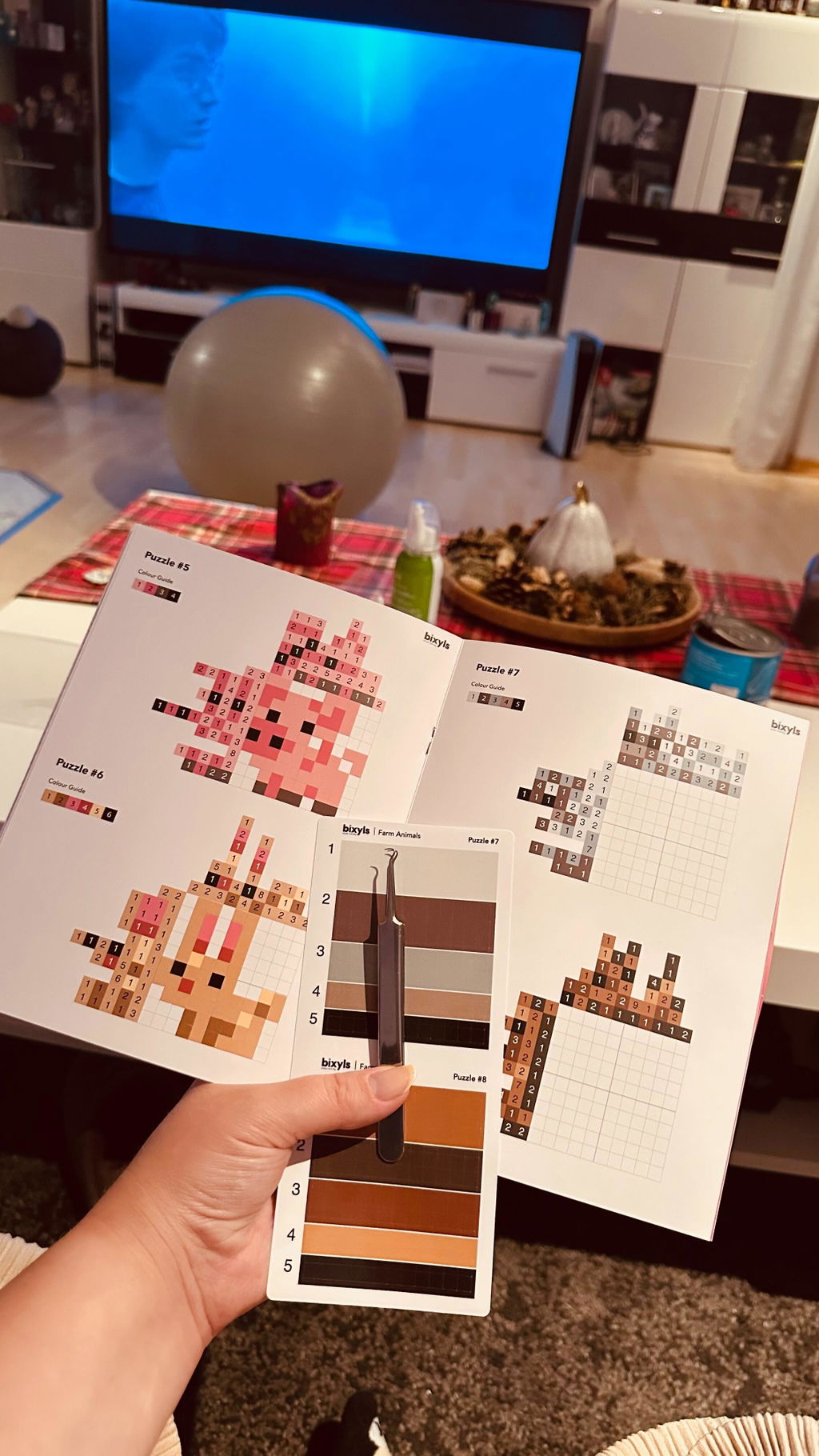 Customer photo of Farm Animals Nonograms