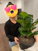 User picture