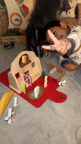 Barnyard Play Case