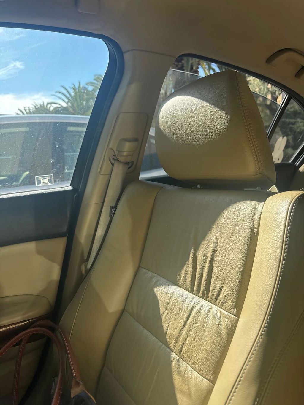 Interior Detail Spray | Dashboard & Trim Detailer