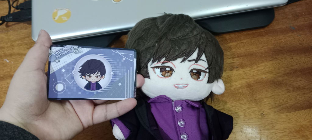 【Last Batch】【In Stock】PLUSH WONDERLAND Smooth Personality Plushie 20CM Cotton Doll
