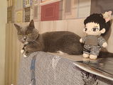 User picture