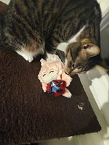 User picture