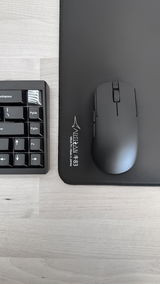 PULSE W