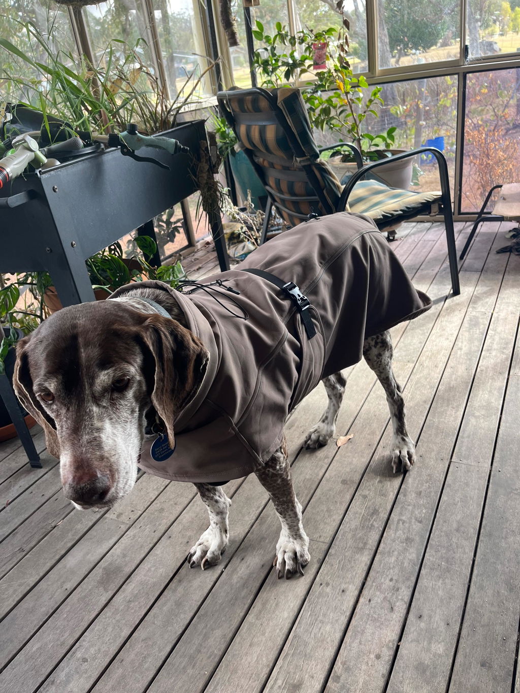 Highland Coat - Grey