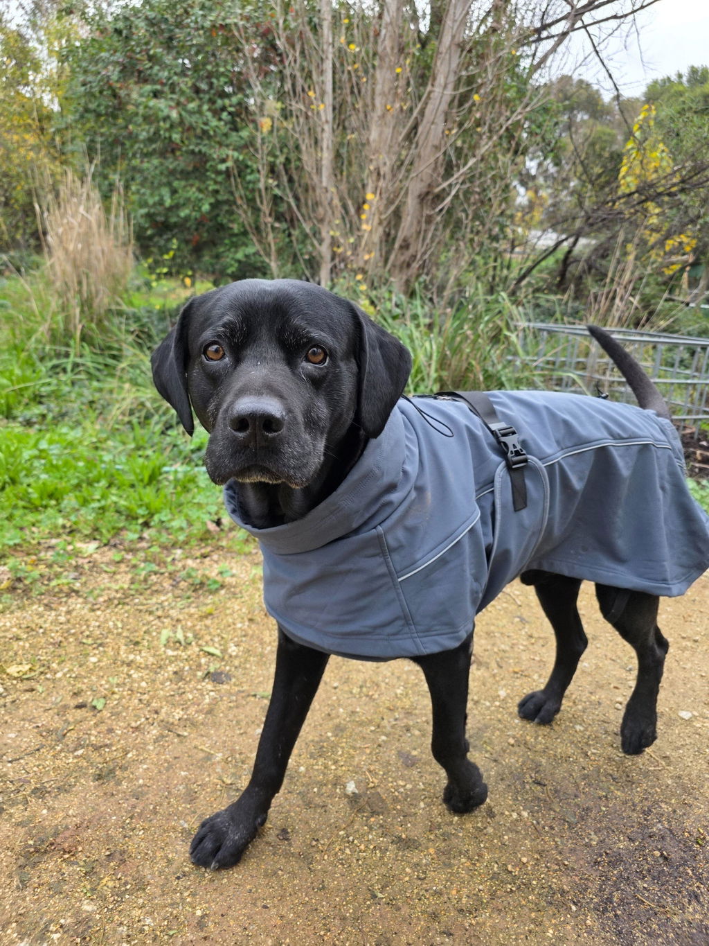 Waterproof Jacket - Green