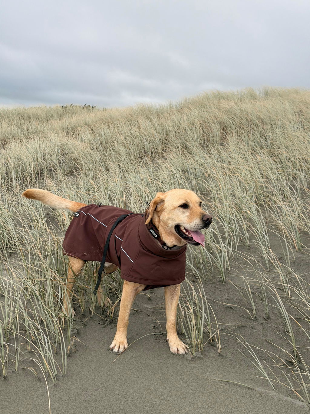 Waterproof Jacket - Maroon Brown